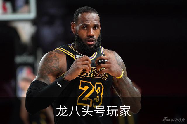 龙八头号玩家公司介绍图